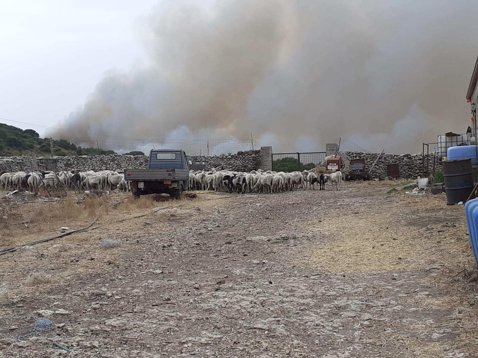 Il fuoco nelle campagne di Ittiri