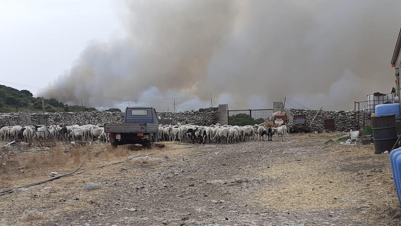 Il fuoco nelle campagne di Ittiri