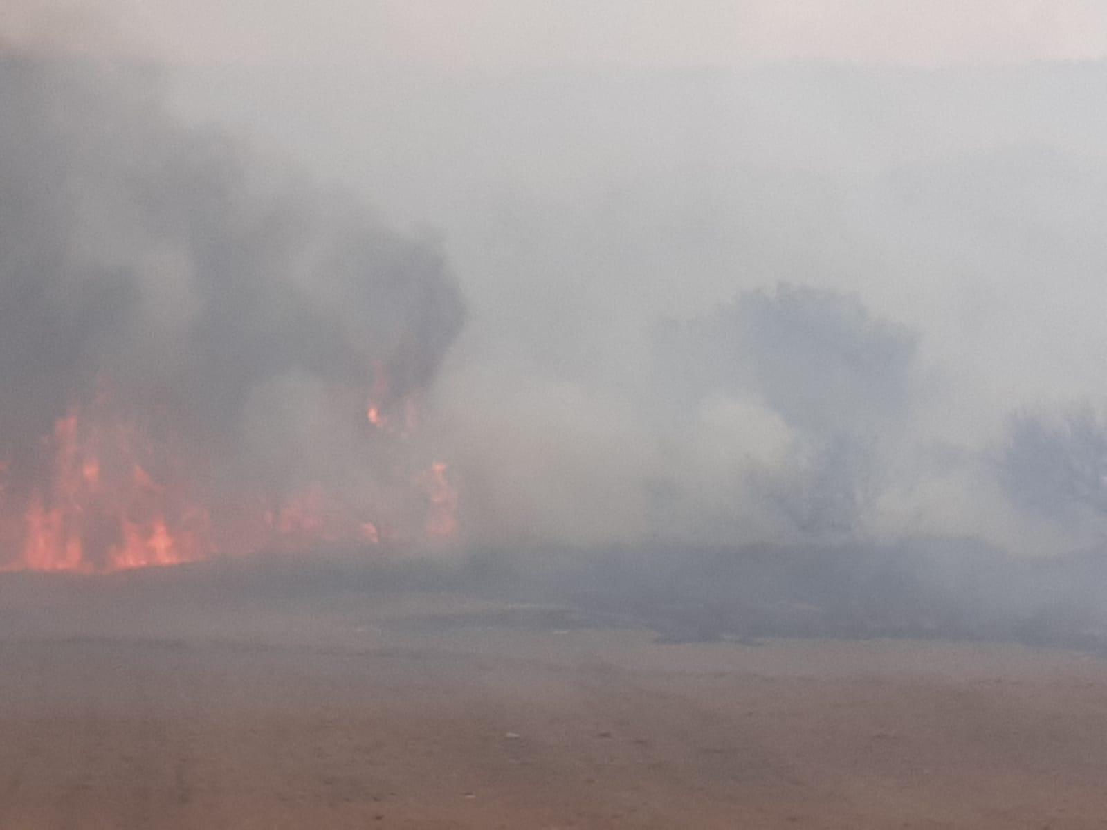 L'incendio nella campagna di Ittiri