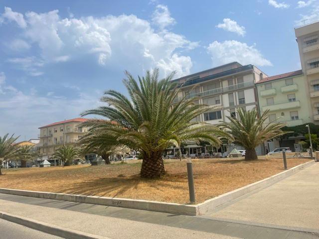 Notte di risse e tafferugli a Lido di Camaiore, sedicenne ferito finisce in ospedale 