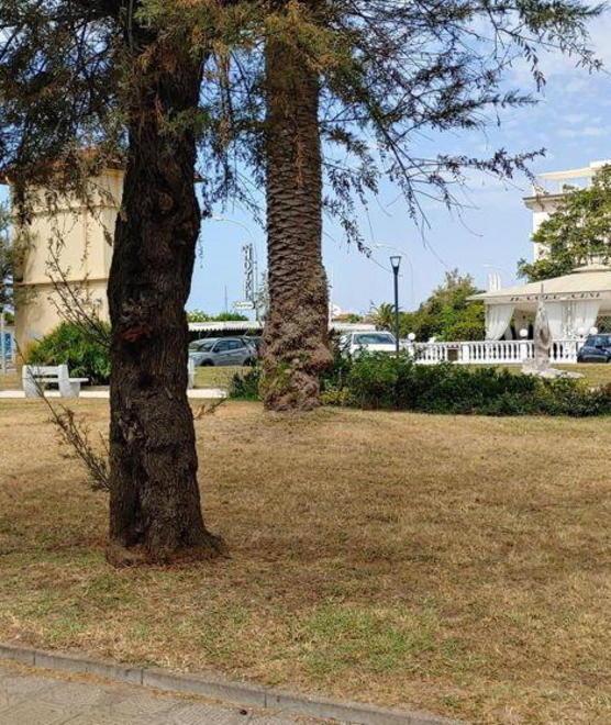 «Le aiuole hanno sete» Polemica a Tonfano
