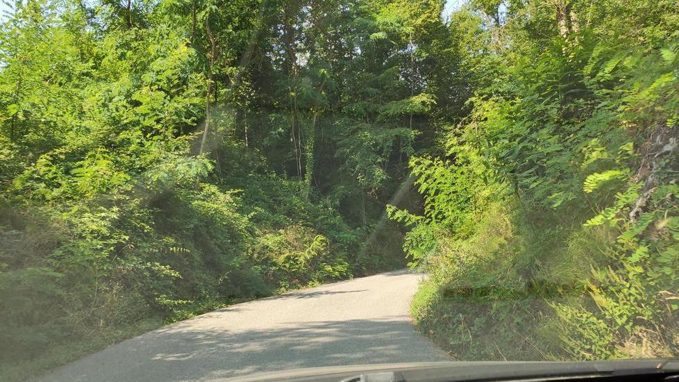 «Così la strada sparisce e la Provincia non interviene»