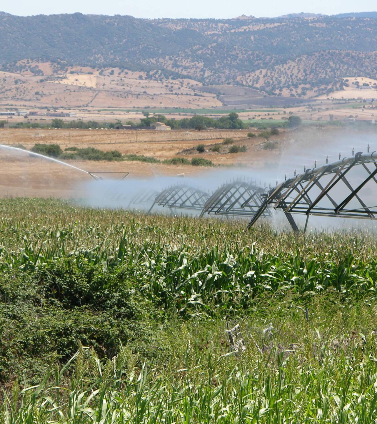 Cartelle pazze, è guerra tra il Consorzio e Copagri 
