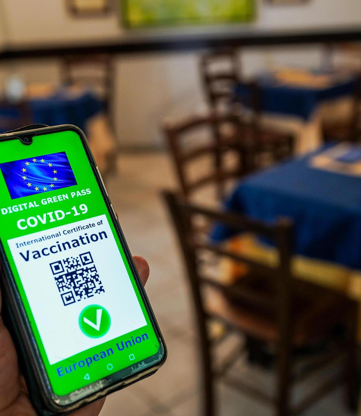 Covid e green pass, il costituzionalista: «Le limitazioni sono legittime per tutelare la salute pubblica» 
