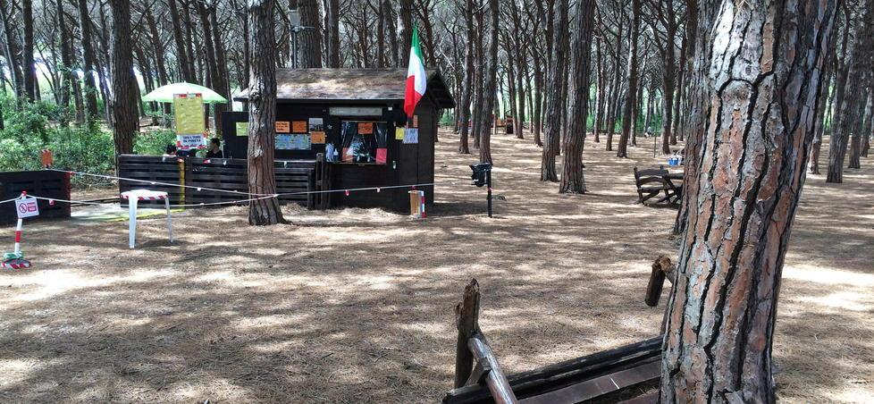 Una zona della pineta di Marina tra viale Galliano e viale della Vittoria