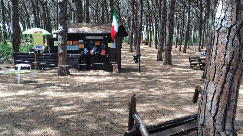 Una zona della pineta di Marina tra viale Galliano e viale della Vittoria