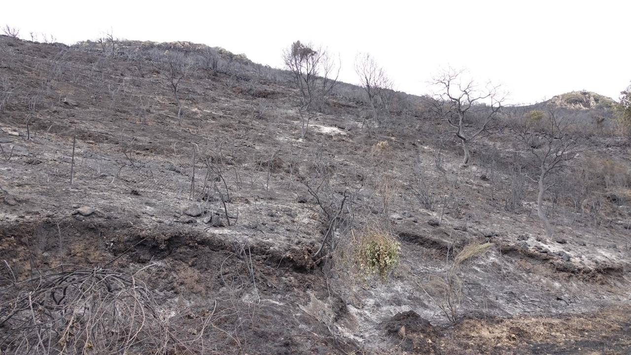 Rogo nell'Oristanese: fiamme ancora a Suni e focolai in ripresa a Santu Lussurgiu
