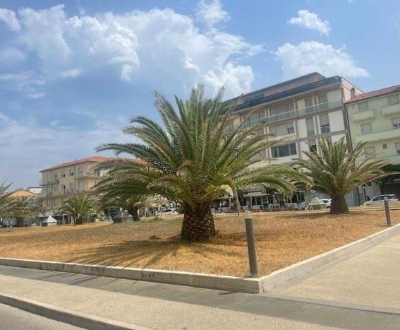 Notte di risse e tafferugli a Lido sedicenne ferito finisce in ospedale 