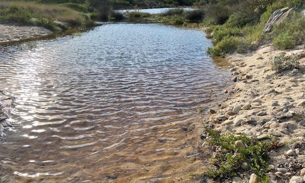 Liquami in mare a S’abba e sa pedra 