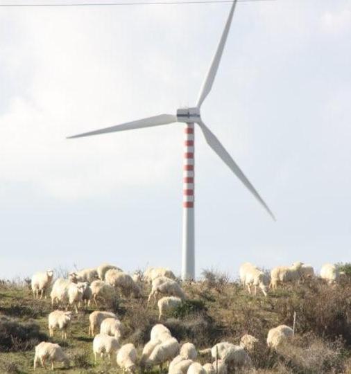 Addio al carbone nel 2025 atto ufficiale di Cingolani 