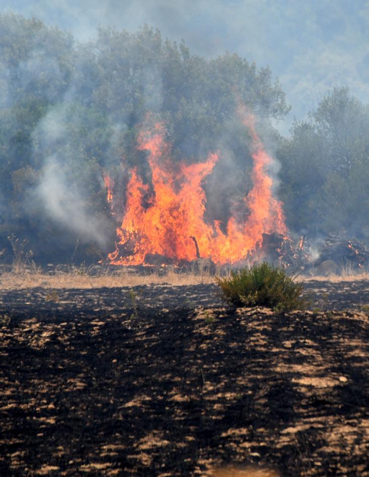 Montiferru in ginocchio in cenere 20mila ettari 