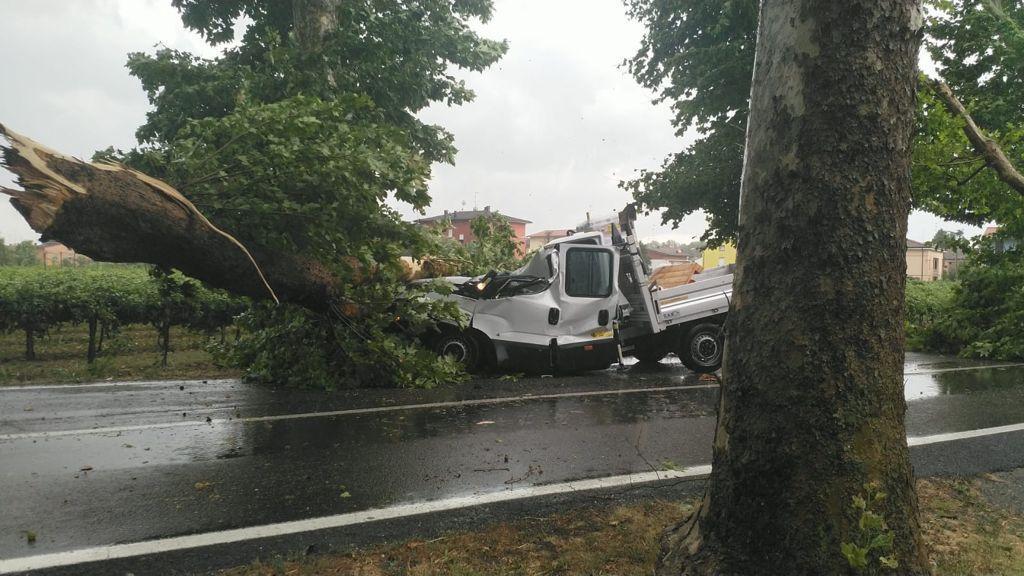 Maltempo a Novi: tre feriti. Albero cade su furgone: due operai sono gravi 