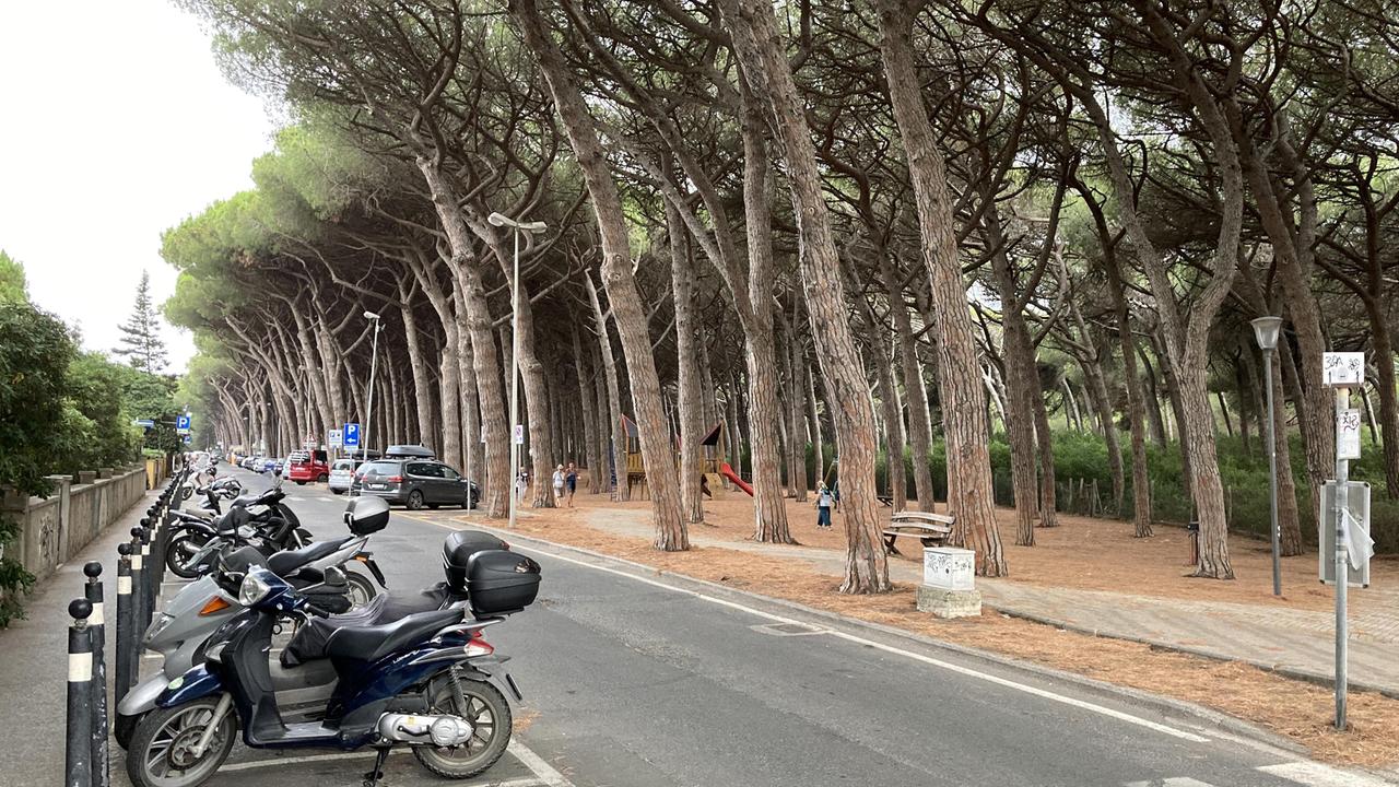 Aggressioni nella pineta di Marina di Cecina: si rafforza il sistema di viglianza privata