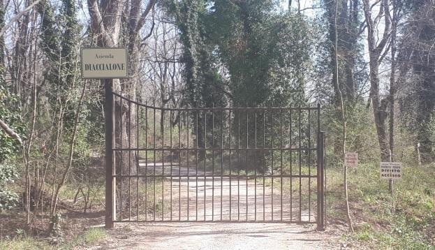 Il cancello della tenuta Diaccialone a sud