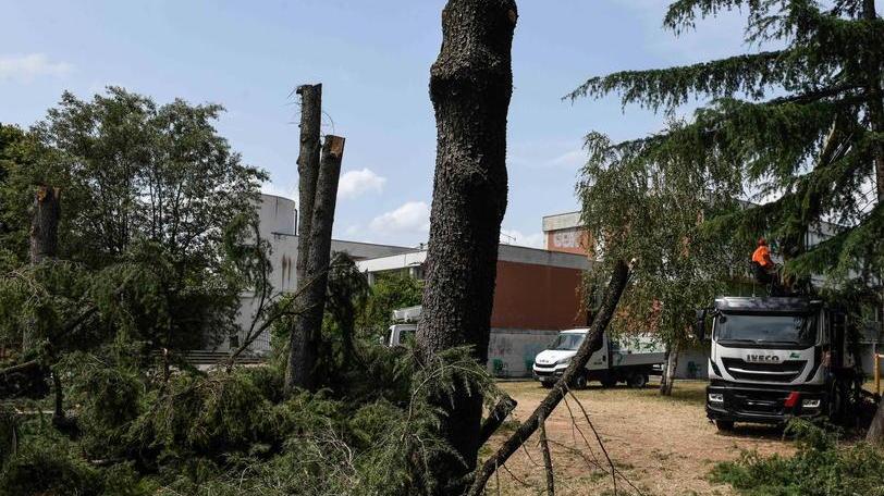 Lavori per l’area di sosta ma il Comitato annuncia nuovo esposto in procura