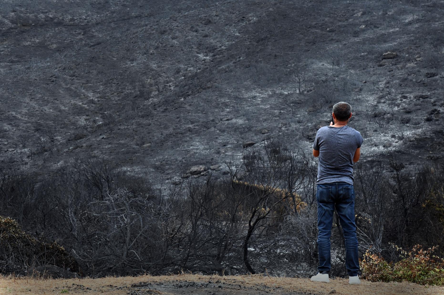 Una collina nei pressi di Cuglieri (foto Massimo Locci)