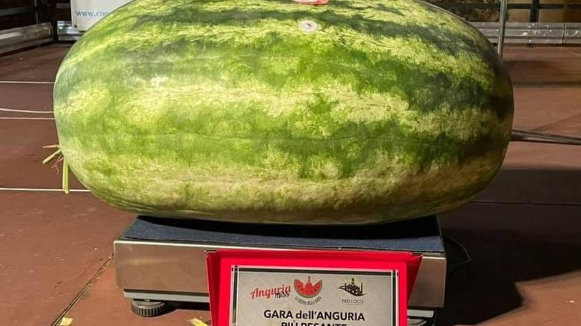 È di Natalino Scarlassara la regina delle angurie La festa dedicata a Bartoli