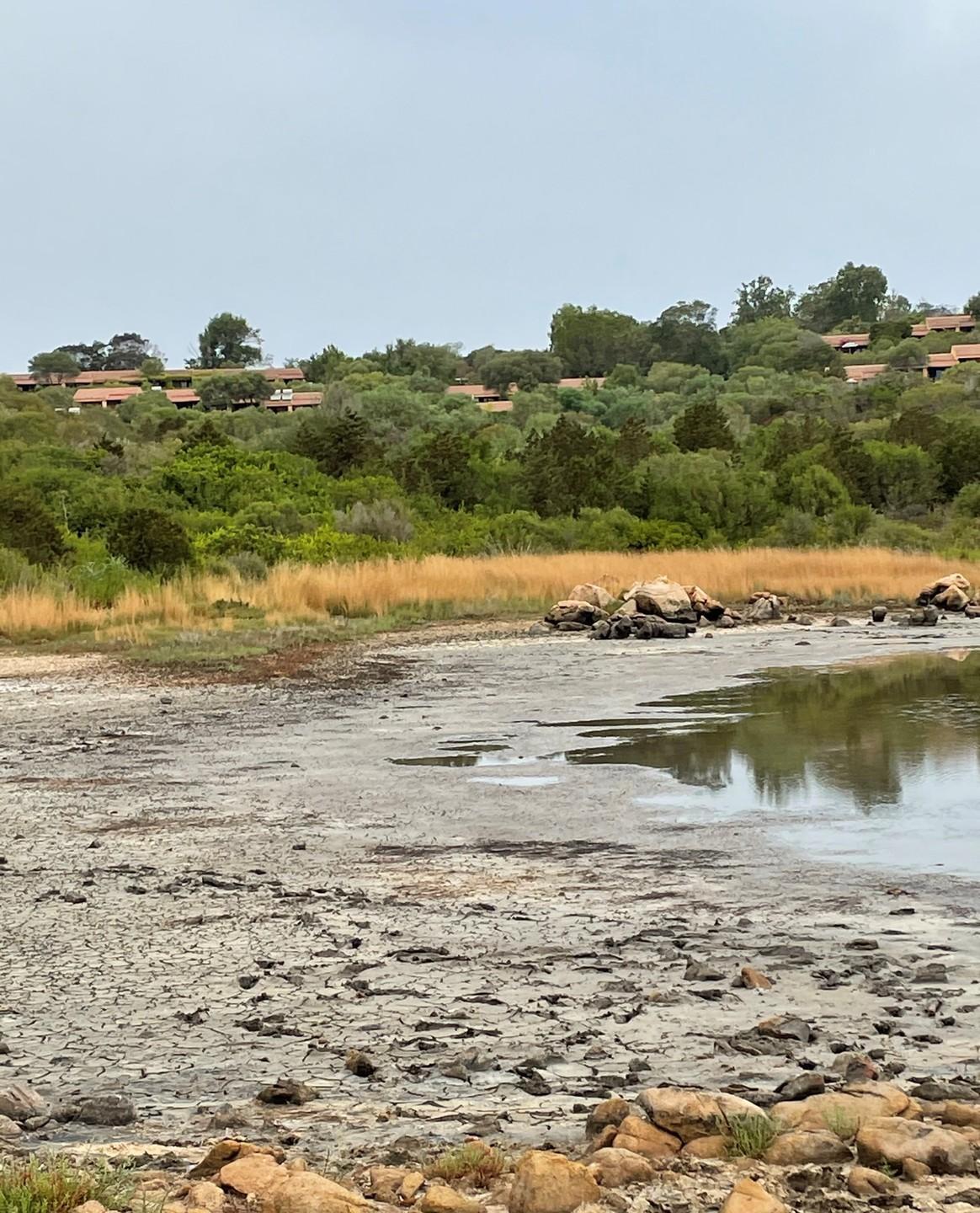 Allarme a Baia Salinedda lo stagno-oasi si prosciuga 