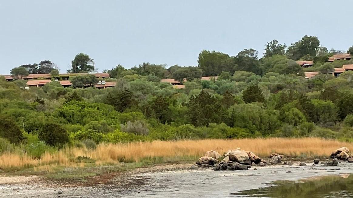 Allarme a Baia Salinedda lo stagno-oasi si prosciuga