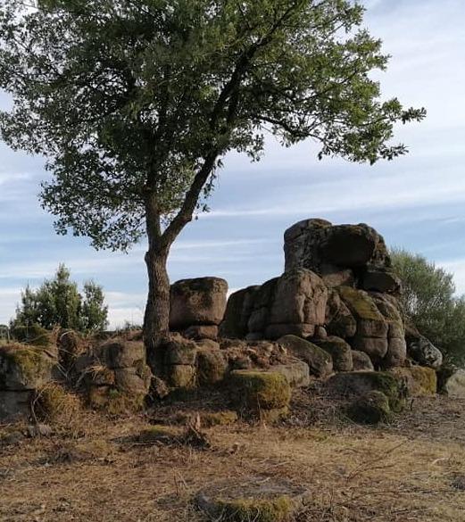 Cossoine tomba dei giganti liberata da rovi e arbusti 
