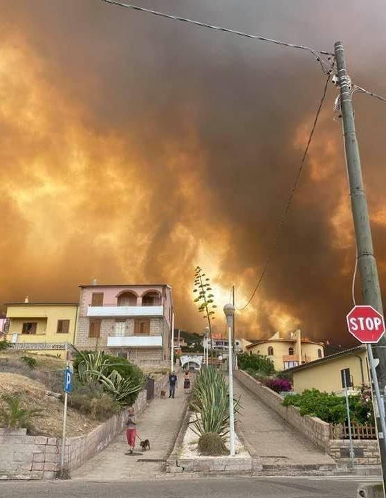 Caccia alle responsabilità la forestale apre le indagini 