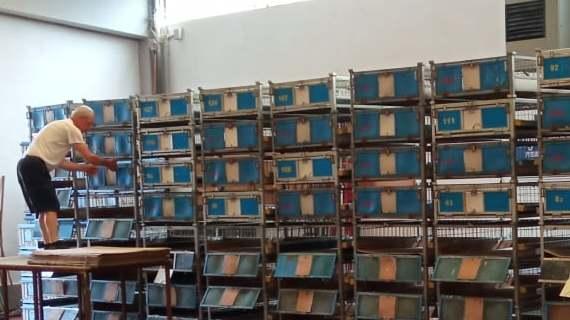 Quella passione tutta modenese per i colombi in gara nei cieli