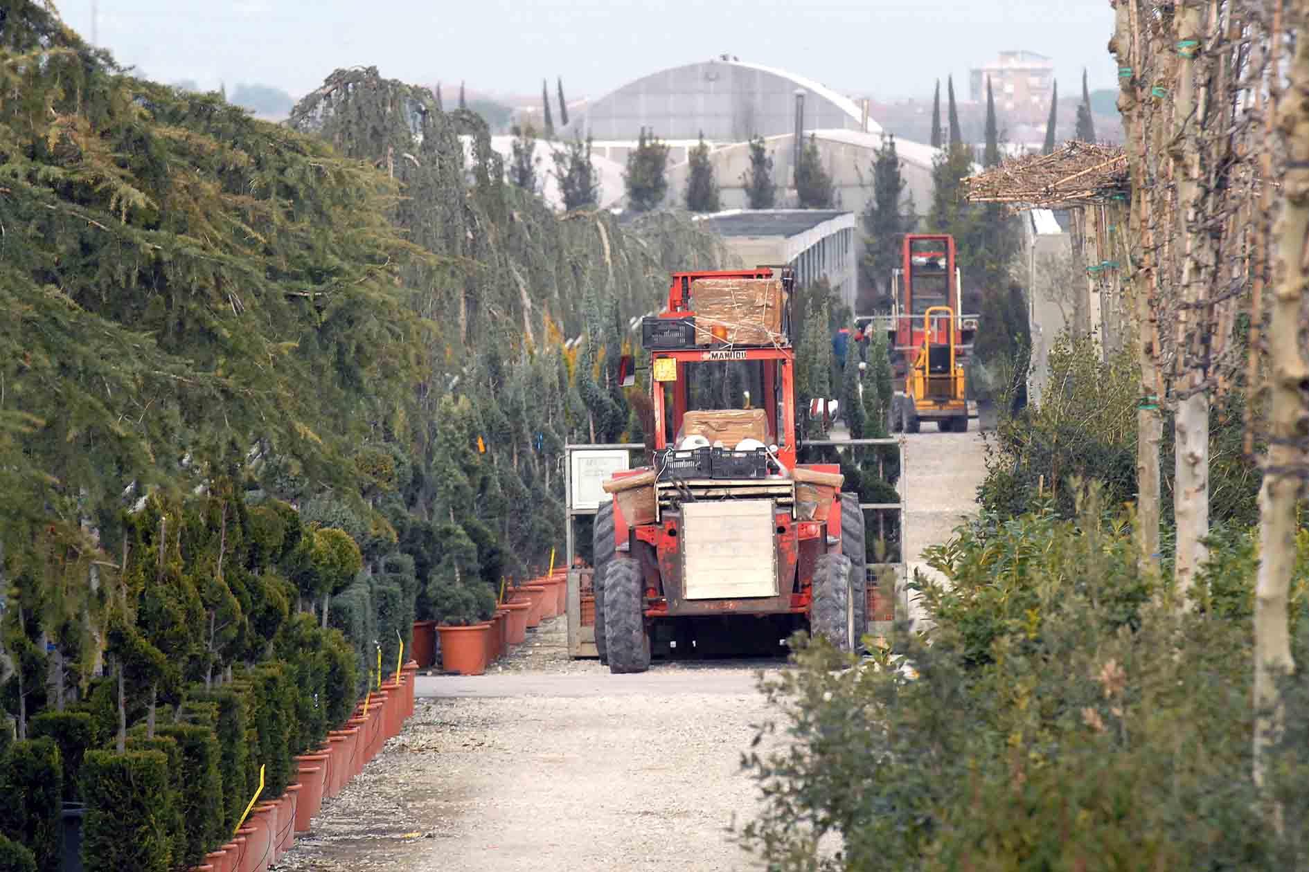 Stipendi più alti e maggiori diritti per 2.700 lavoratori di vivai e agricoltura 