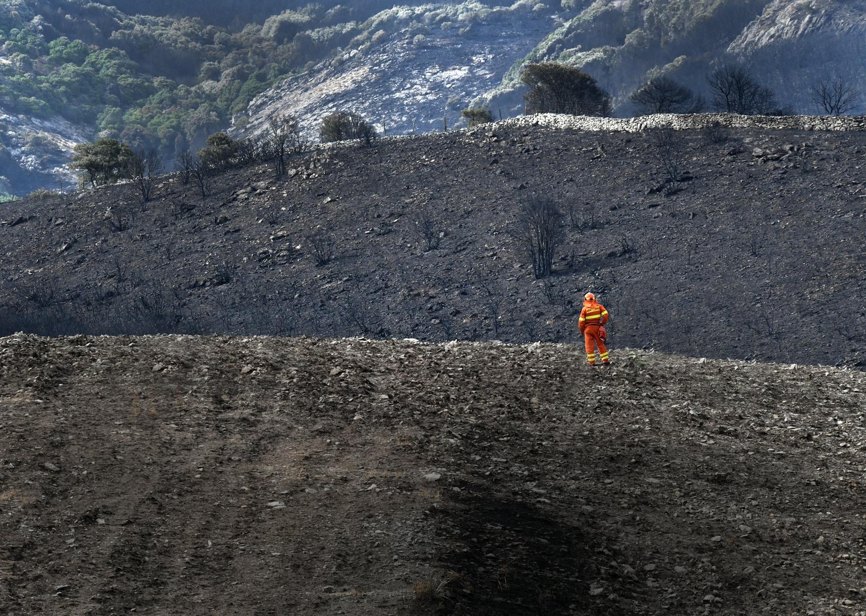 Le colline del Montiferru dopo l'incendio (foto Massimo Locci)