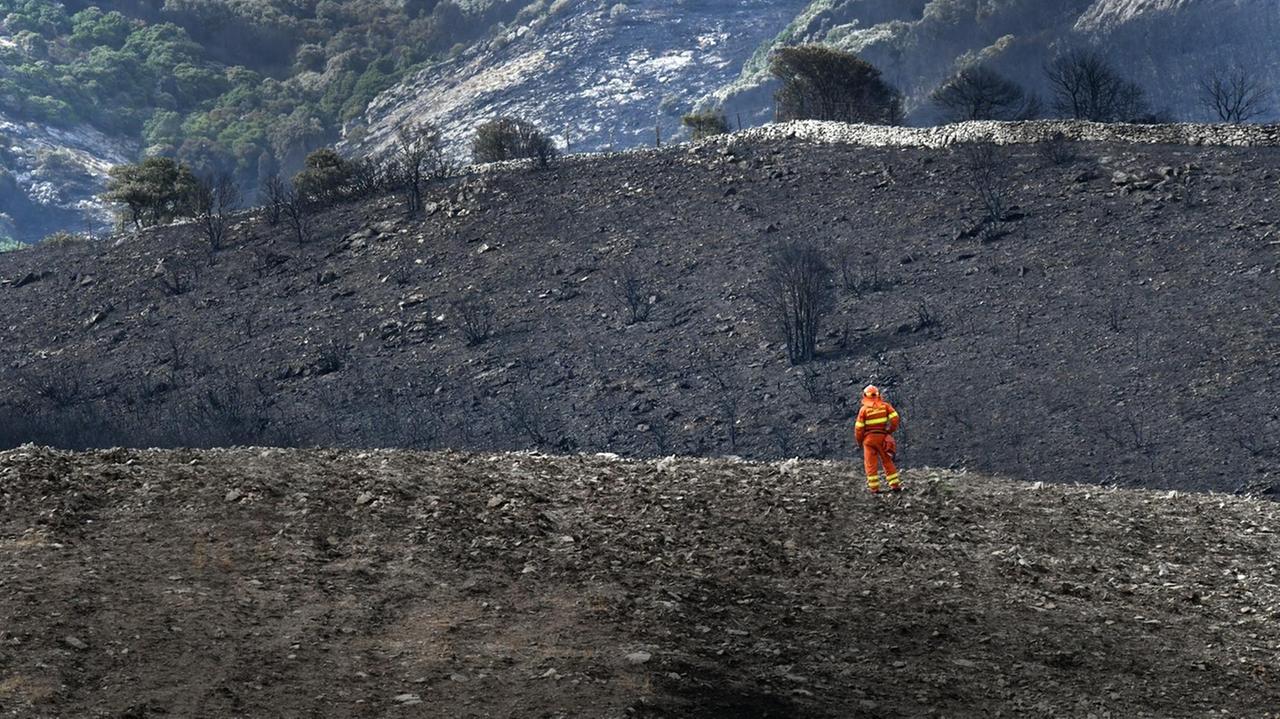 Le colline del Montiferru dopo l'incendio (foto Massimo Locci)