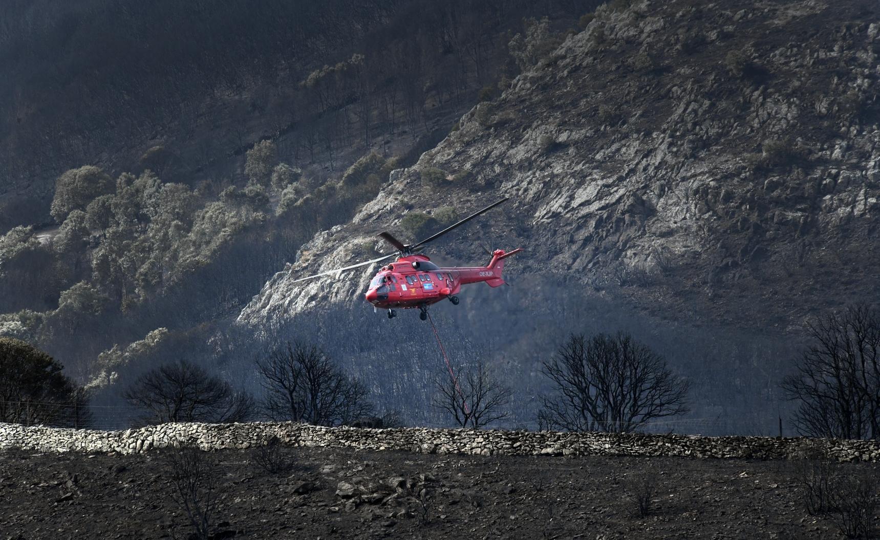 L'incendio nell'Oristanese ha lasciato un paesaggio desolato (foto Massimo Locci)