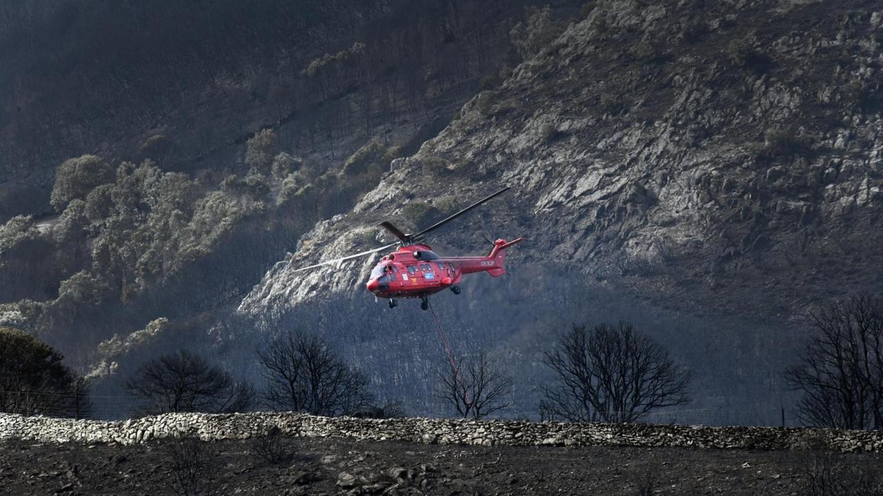 L'incendio nell'Oristanese ha lasciato un paesaggio desolato (foto Massimo Locci)