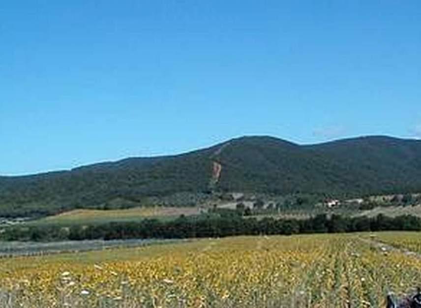 Poderi di Pian d’Alma Rottura insanabile tra i concessionari 