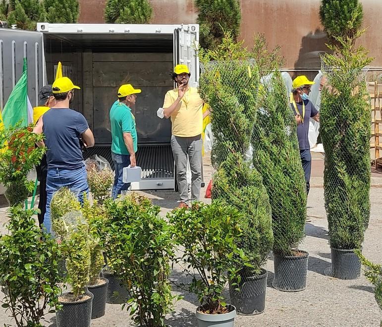 Piante chiuse da un mese in un container per studiare migliori tecniche di trasporto 