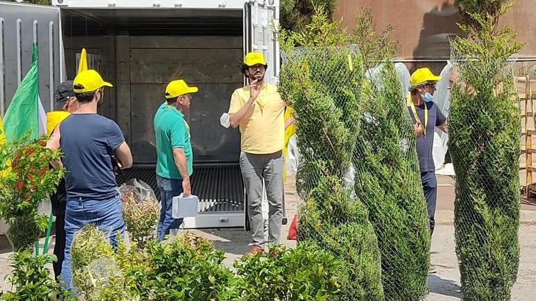 Piante chiuse da un mese in un container per studiare migliori tecniche di trasporto
