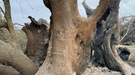 Natura violata, ma non tutto è perduto