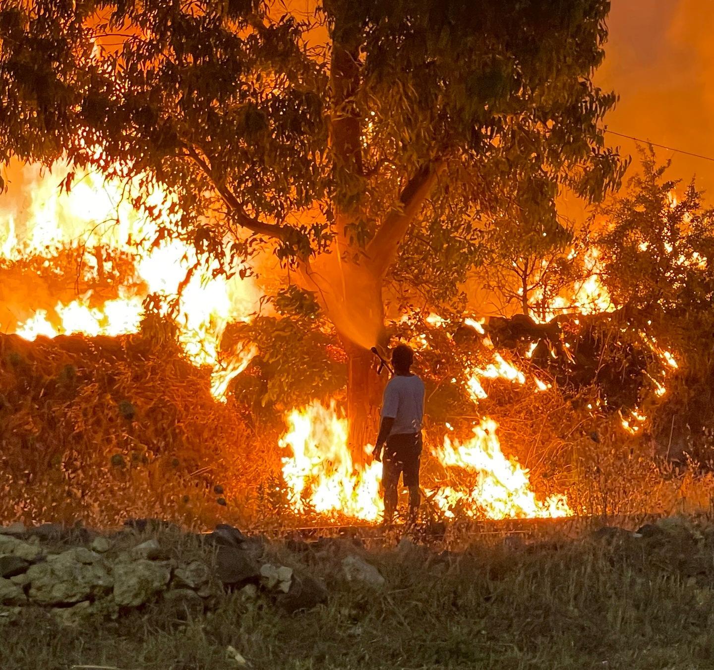 Immagini di una terra ferita ma già pronta a ripartire 