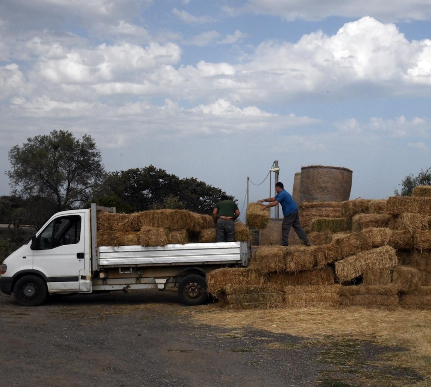 Il cuore dell’isola dopo la grande paura 