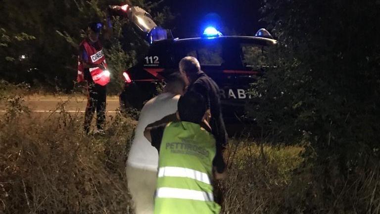 Formigine. Capriolo investito da auto, salvato dai carabinieri