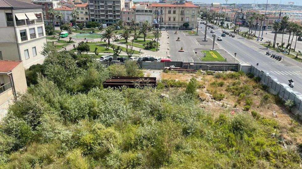 Viareggio, se la “giungla” si fa strada nel salotto buono sul litorale