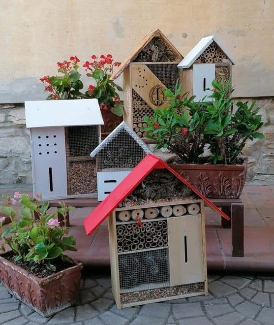 La Croce rossa presenta gli hotel per gli insetti