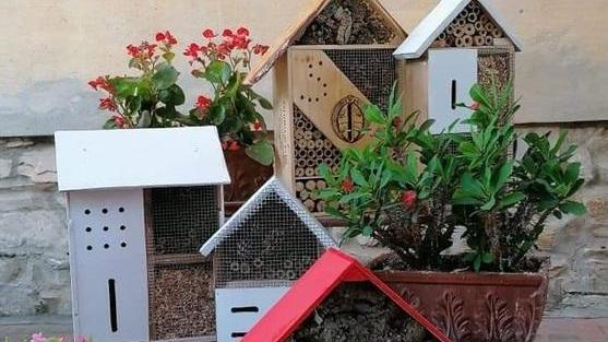 La Croce rossa presenta gli hotel per gli insetti