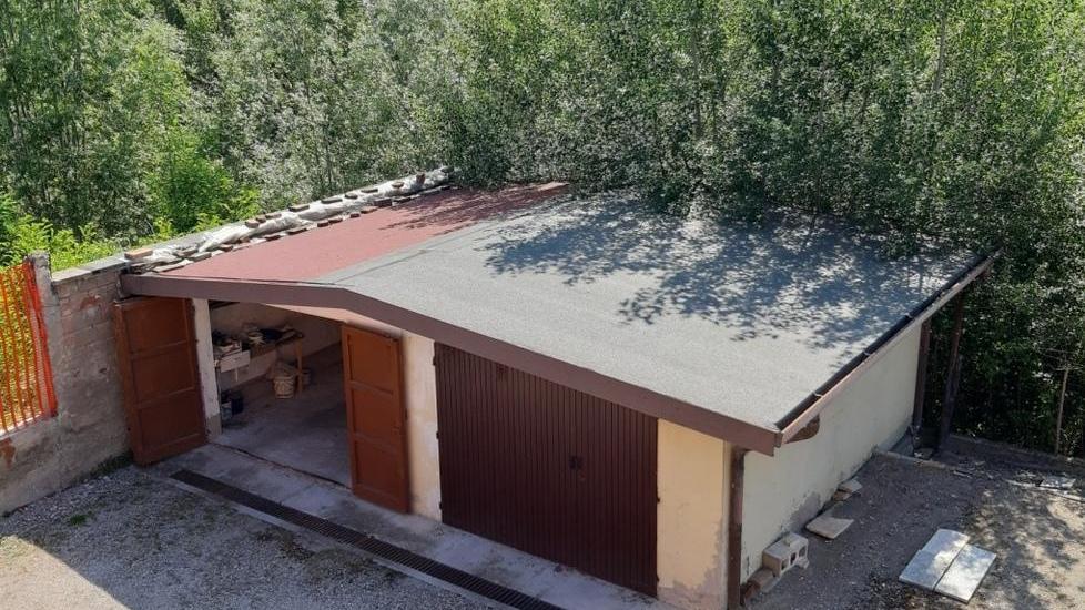 «Quell’albero dell’area ex Pala-Arbor rischia di rovinarmi il garage»