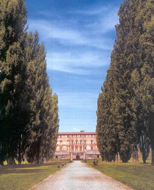 «Sostituite i 54 pioppi al Ducale con cipressini ma di alto fusto» 