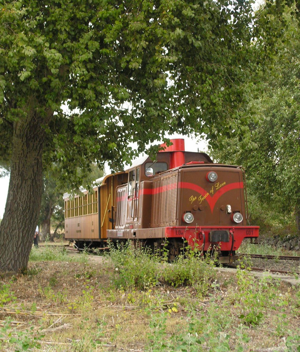 I roghi fermano il Trenino verde 