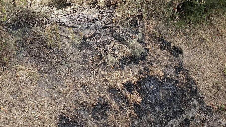 Il punto in cui è stato trovato il cadavere