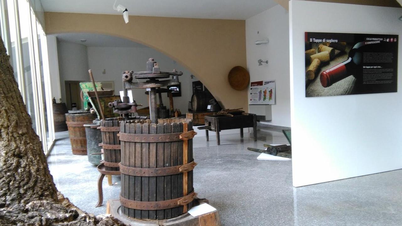 Il Museo del Vino riparte in musica