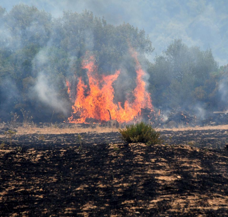 «Tecnologia e vedette per battere il fuoco» 