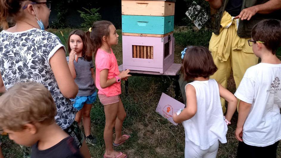 Modena. La Notte delle Civette incanta i bambini Una serata per l’ambiente e il rispetto degli animali