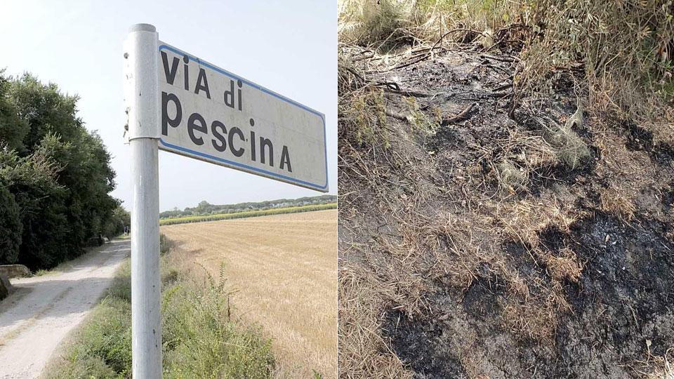 Il luogo del ritrovamento del cadavere carbonizzato; a destra un tratto di via di Pescina, nel territorio comunale di San Giuliano Terme (foto fabio muzzi)