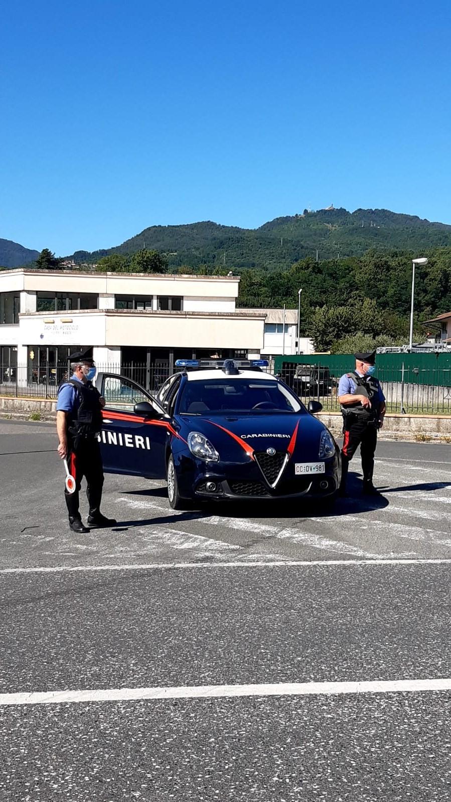 Spara al gatto del vicino e lo nasconde in un sacchetto di plastica, denunciato 83enne